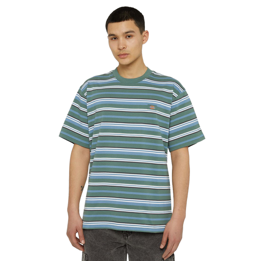DICKIES T-Shirt Glade spring - HRZNTL Stripe