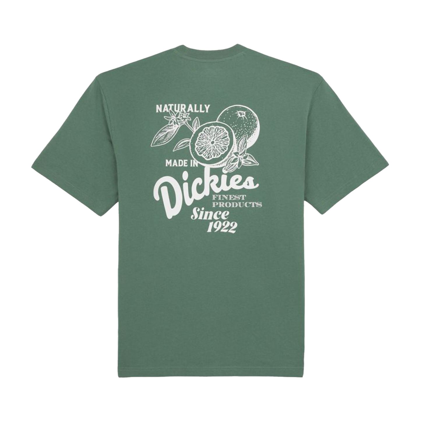 DICKIES T-Shirt Raven - Dark Forest
