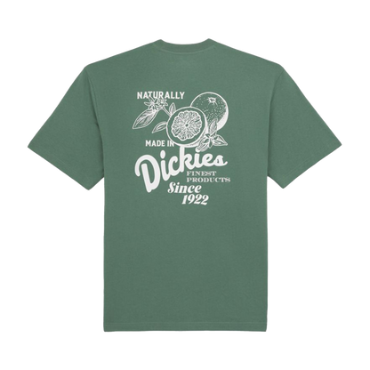 DICKIES T-Shirt Raven - Dark Forest