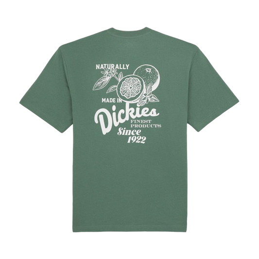 DICKIES T-Shirt Raven - Dark Forest