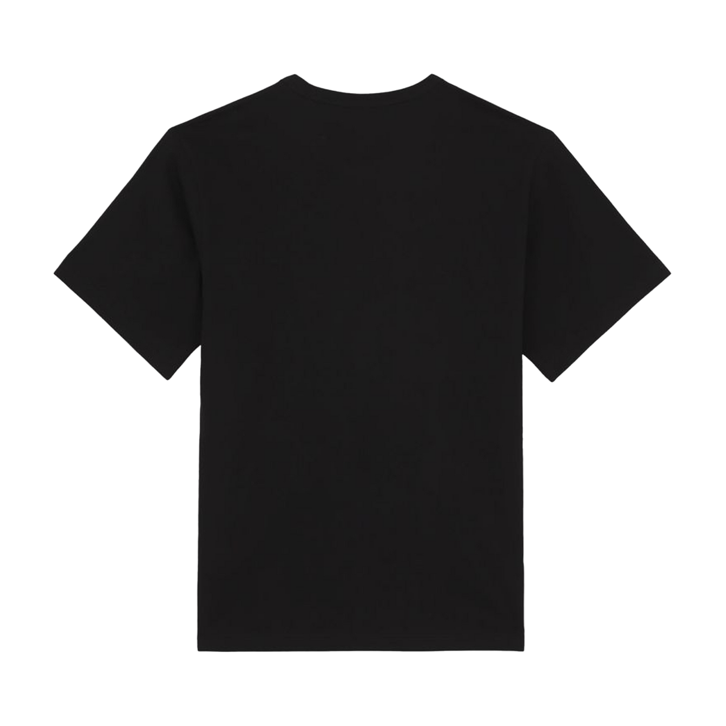 DICKIES T-Shirt Aitkin - Black/Coronet Blue