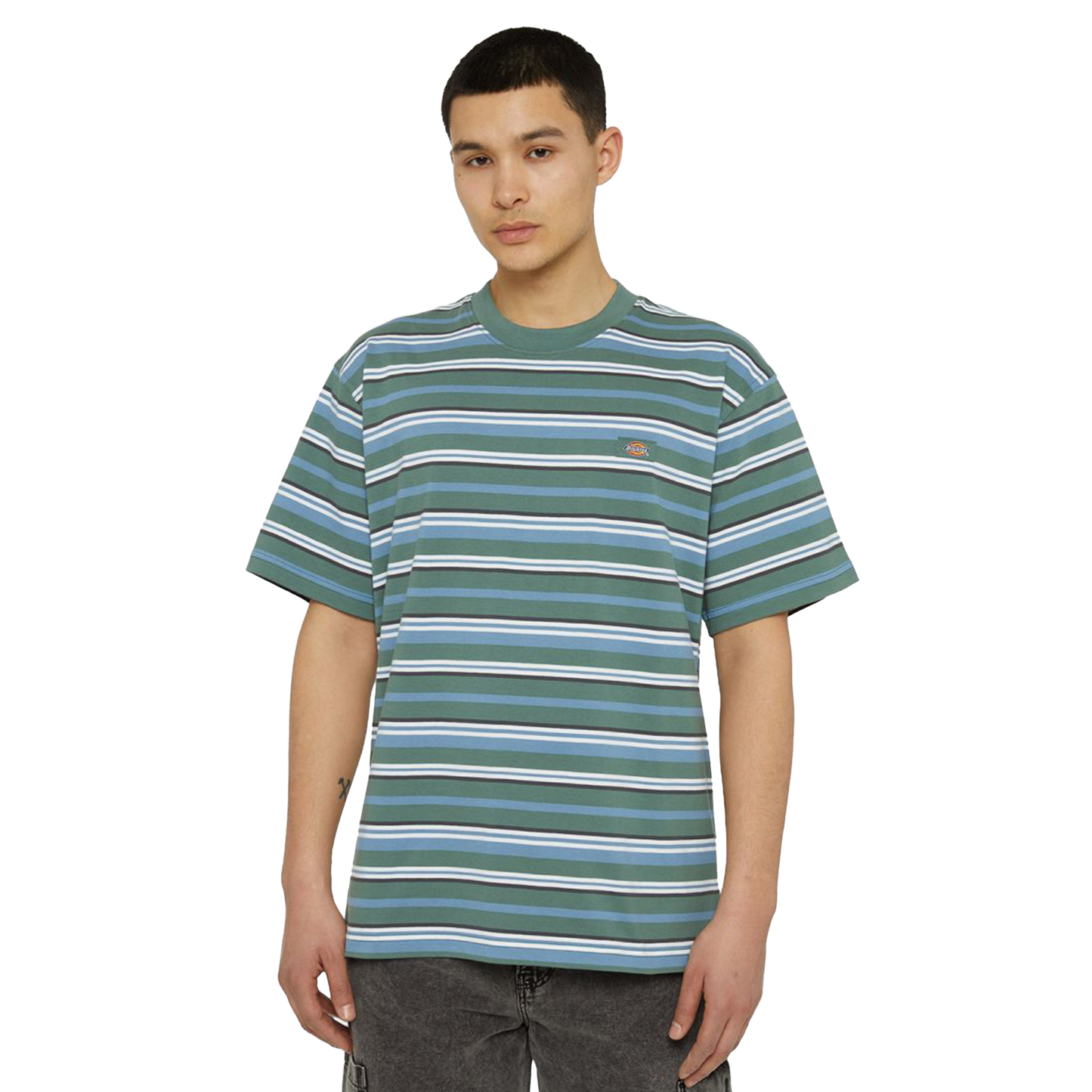 DICKIES T-Shirt Glade spring - HRZNTL Stripe