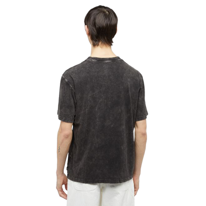 DICKIES T-Shirt Newington - Double Dye/ Acid Black
