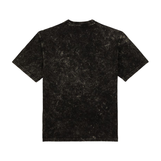 DICKIES T-Shirt Newington - Double Dye/ Acid Black