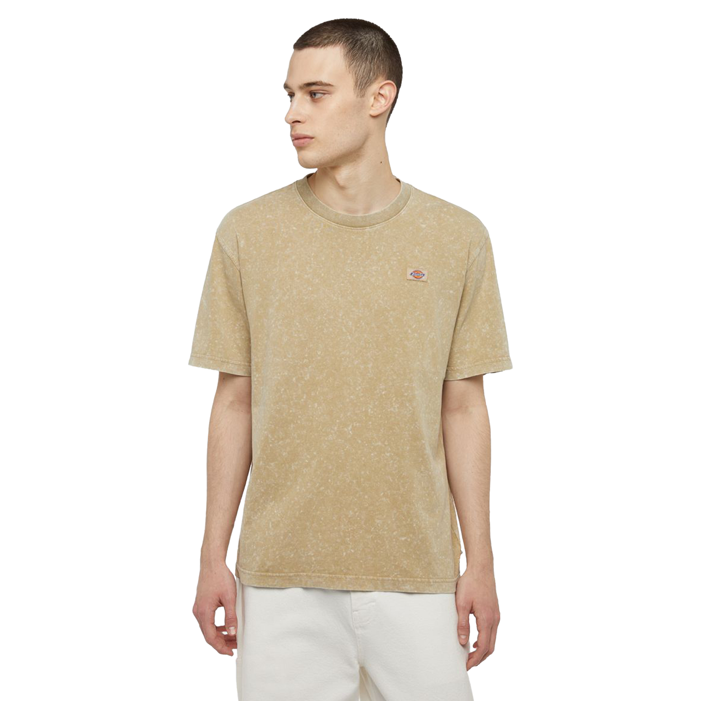 DICKIES T-Shirt Newington - Double Dye/Acid SS