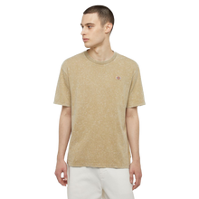 DICKIES T-Shirt Newington - Double Dye/Acid SS