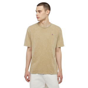 DICKIES T-Shirt Newington - Double Dye/Acid SS