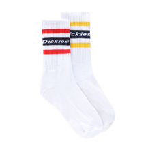 DICKIES Genola Socks