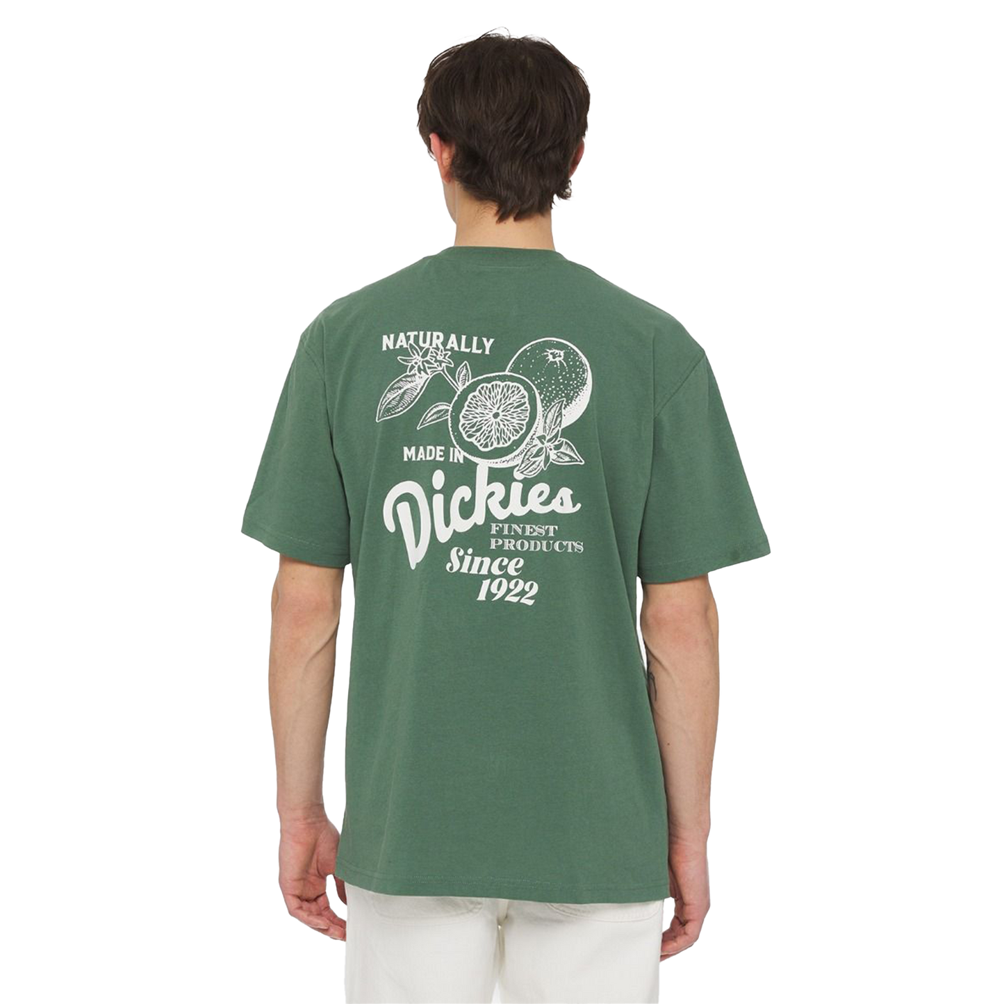 DICKIES T-Shirt Raven - Dark Forest