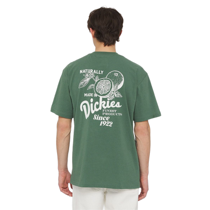 DICKIES T-Shirt Raven - Dark Forest