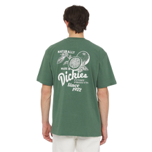 DICKIES T-Shirt Raven - Dark Forest