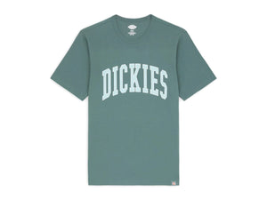 Dickies Aitkin T-Shirt