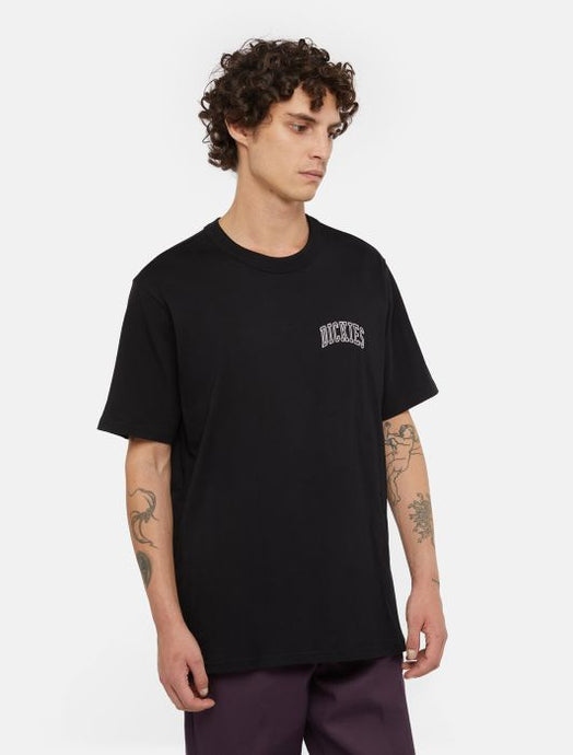 Dickies Aitkin T-Shirt